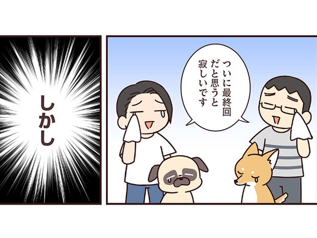 ラルとアキ ドMパグと女王柴犬の愉快な主従関係 第62話【最終回】