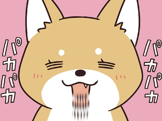 ラルとアキ ドMパグと女王柴犬の愉快な主従関係 第16話