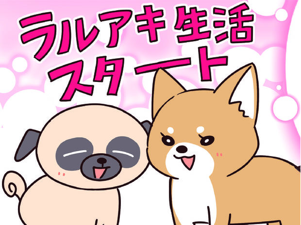 ラルとアキ ドMパグと女王柴犬の愉快な主従関係 第25話
